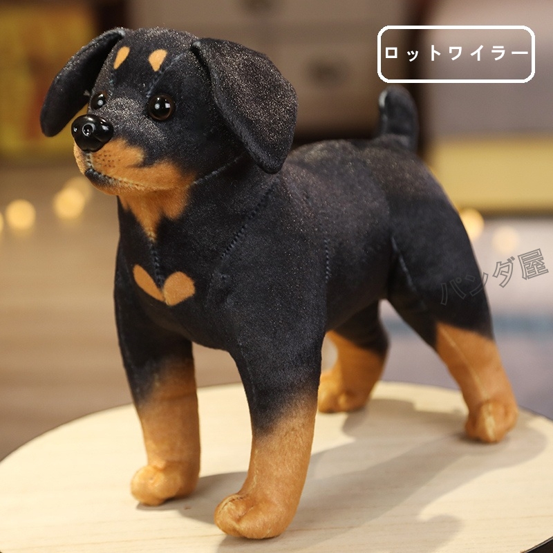 犬のぬいぐるみ 置物 シミュレーション 子犬 ワンちゃん 雑貨 玄関 癒し インテリア ロットワイラー ダルメシアン シベリアン・ハスキー ビーグル  秋田犬 25cm : pd-dog618 : パンダ屋 - 通販 - Yahoo!ショッピング