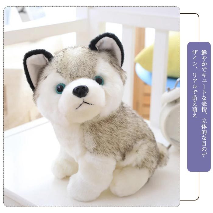 ハスキーぬいぐるみ 手を挙げたデザイン Amazon.co.jp: アイスキングベア 2ピース シベリアンハスキー