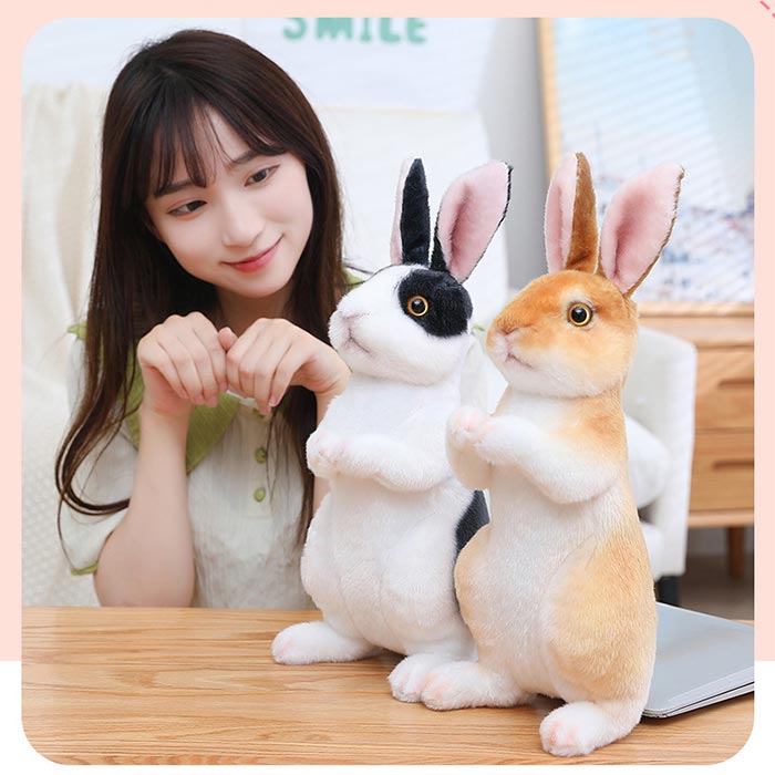 pd-155rabbit-3.jpg