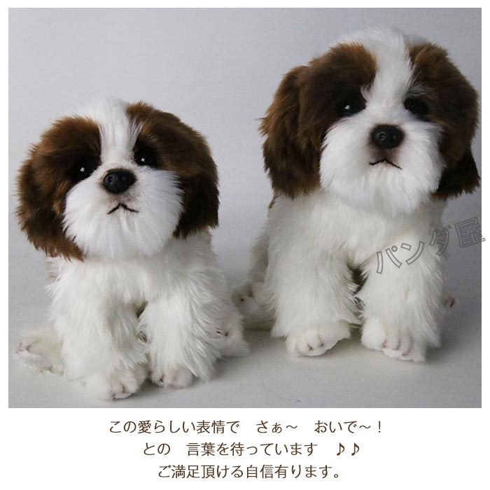 pd-21dog220-9.jpg