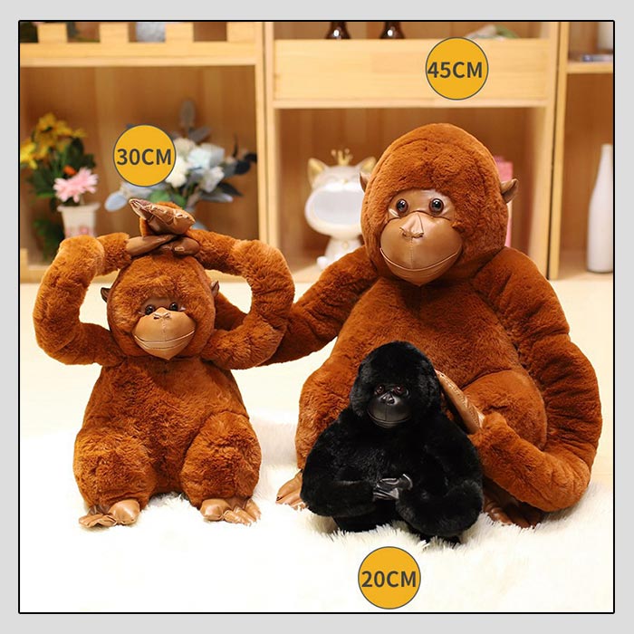 pd-364orangutans-9.jpg