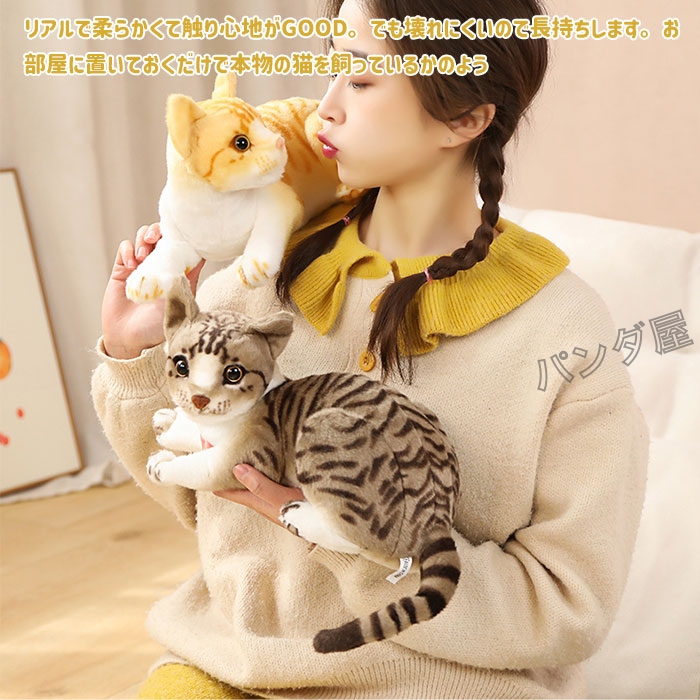 猫 ネコ ぬいぐるみ 置物 新品未使用 実物約50cm pd-cat191-5.jpg