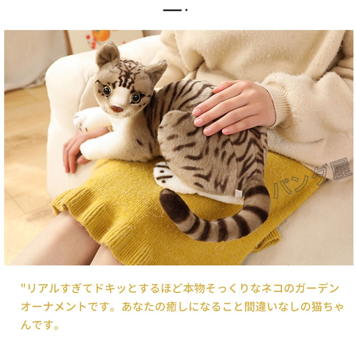 pd-cat191-6.jpg