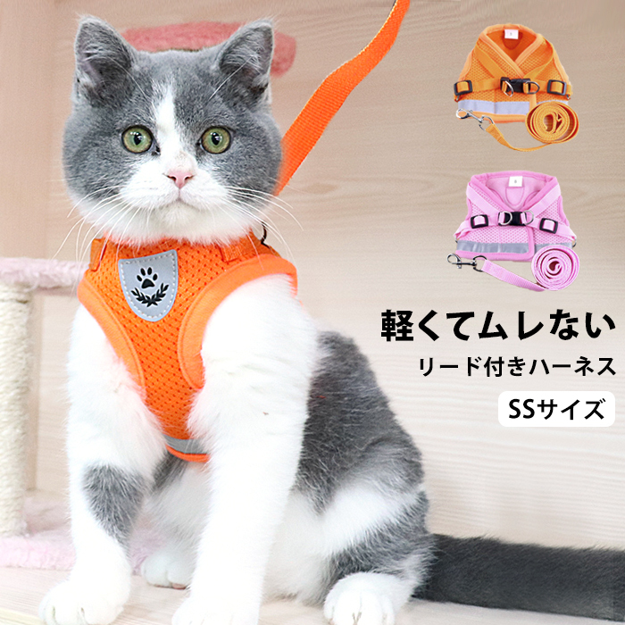 pet0115-15.jpg