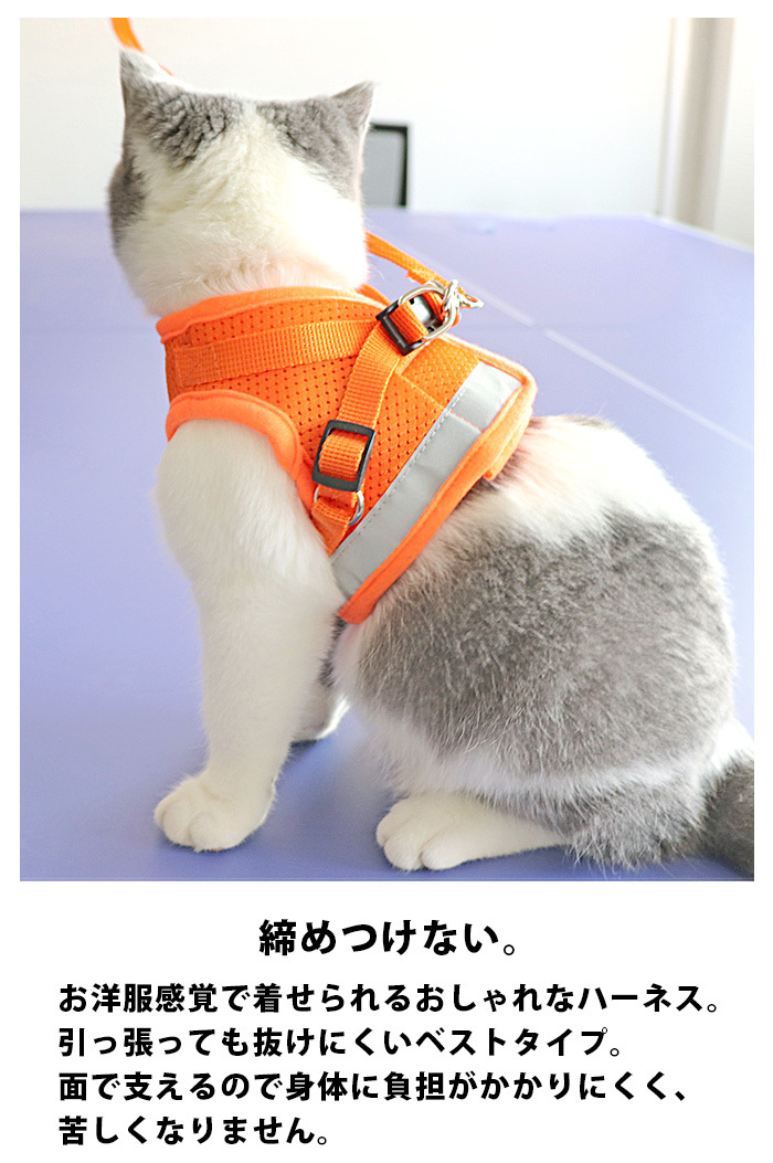 pet0115-2.jpg