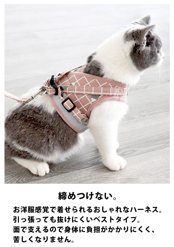 pet0116-2.jpg