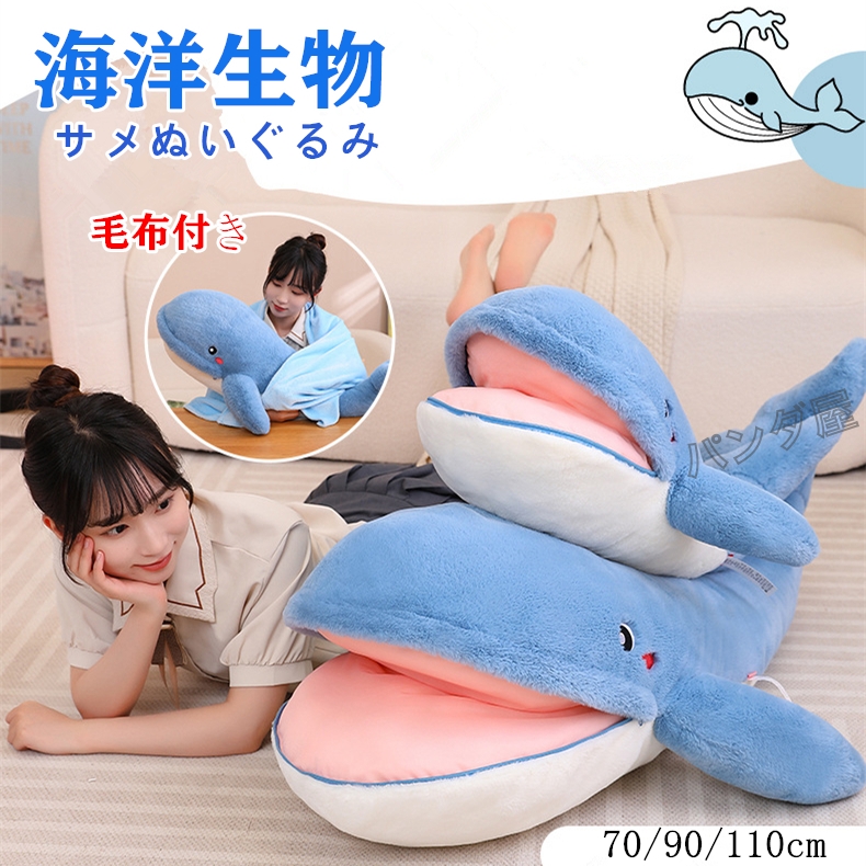 shark1039-1.jpg