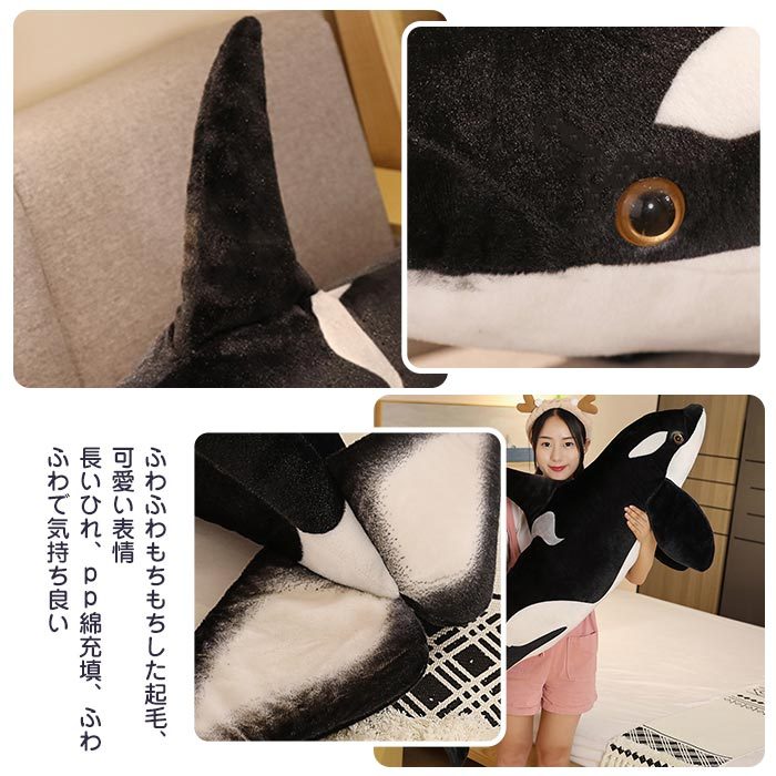 whale01-9.jpg