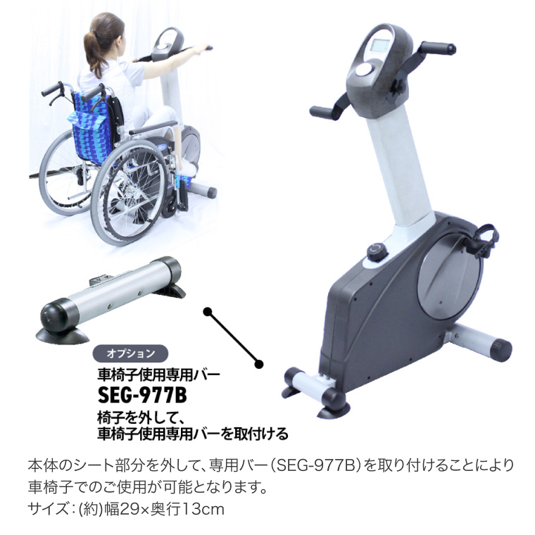 アッパーロアーバイク SEG-9770 （家庭用）