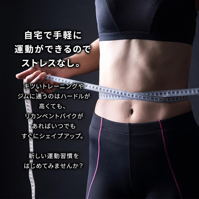 家庭用 リカンベントバイク DK-8718RP