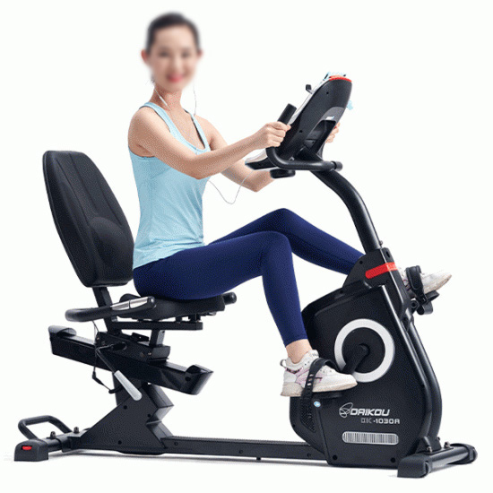 DK-1030A 準業務用リカンベントバイク