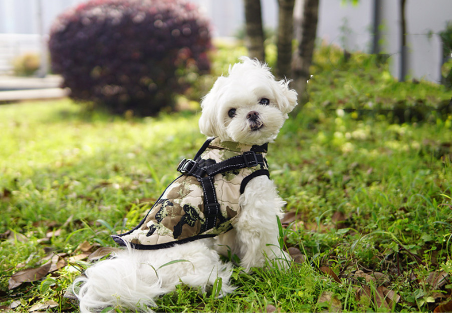 犬服ドッグウェア 秋 冬 可愛い おしゃれ フック付き服 お出かけ