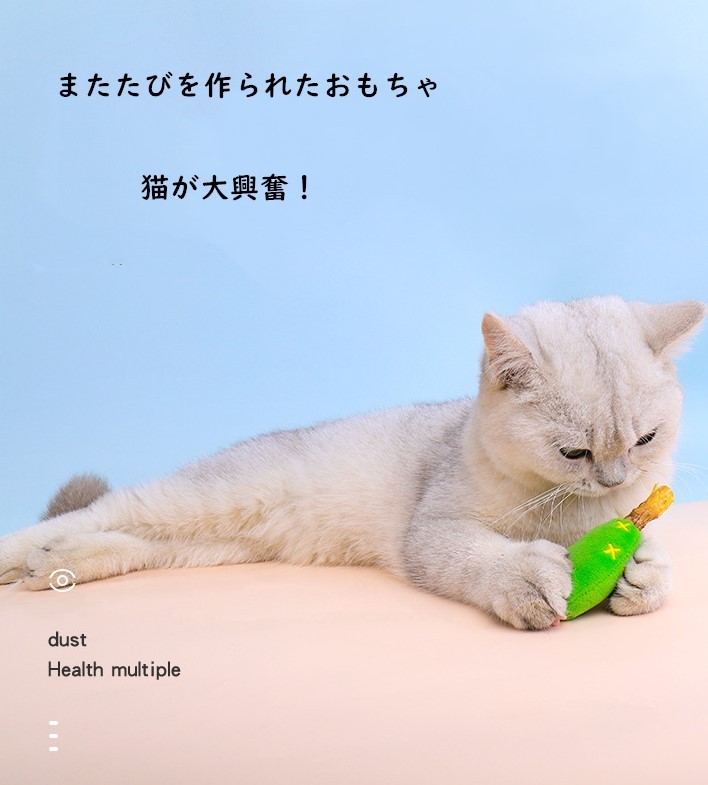 For Your Smile またたびとねこじゃらし 猫 おもちゃ 猫じゃらし 猫またたびおもちゃ 歯磨きおもちゃ 運動不足