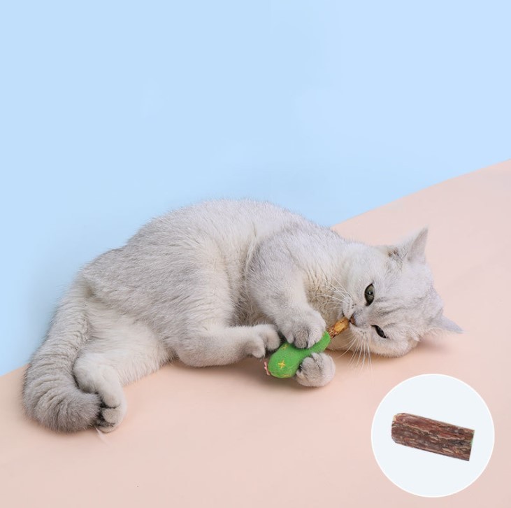 For Your Smile またたびとねこじゃらし 猫 おもちゃ 猫じゃらし 猫またたびおもちゃ 歯磨きおもちゃ 運動不足