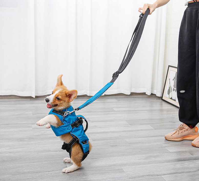 犬 抱っこひも スリング ショルダーバッグ 犬ハーネス 3IN1 3WAY 多