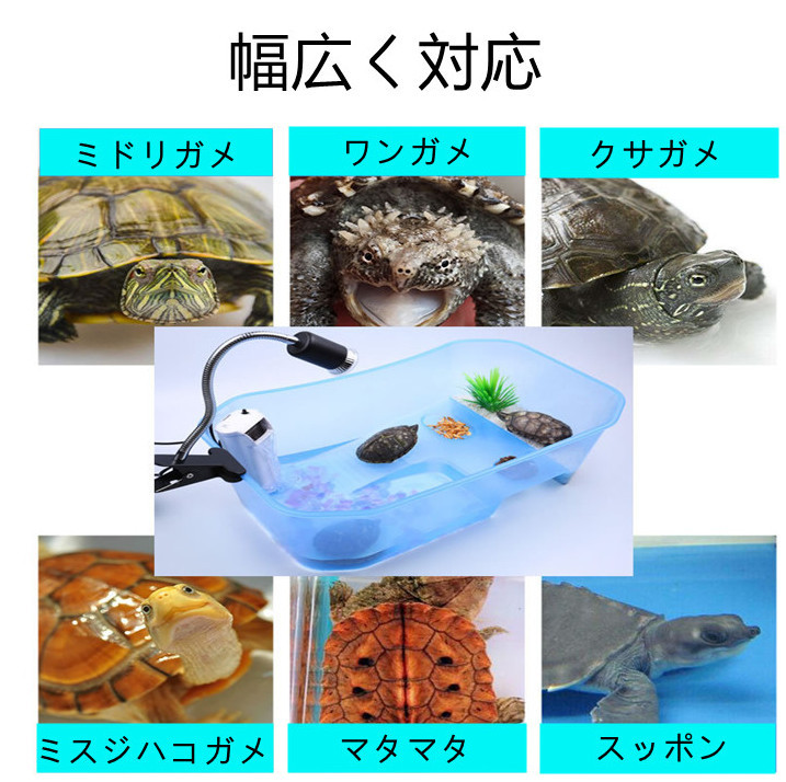 亀 水槽 カメ 飼育ケース 60CM ボックス タートルタンク 日向ぼっこ 