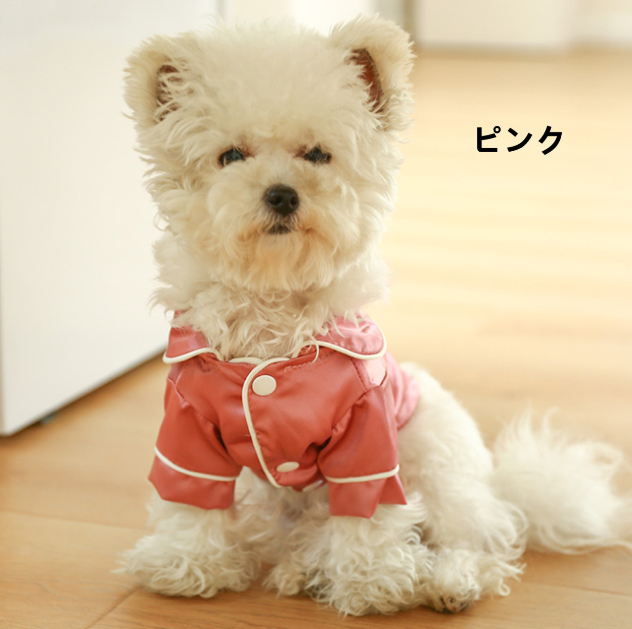 犬 服 犬服 犬の服 春 夏 おしゃれ シルク 涼しい クール かわいい 小型犬 中型犬 トイプードル ビションフリーゼ 犬の服 Cwzjggyf066 Pannipet 通販 Yahoo ショッピング 犬 服 犬服 犬の服 春 夏 おしゃれ シルク 涼しい クール かわいい 小型犬 中型犬 トイプードル ビションフリーゼ 犬の服 Cwzjggyf066 Pannipet 通販 Yahoo ショッピング