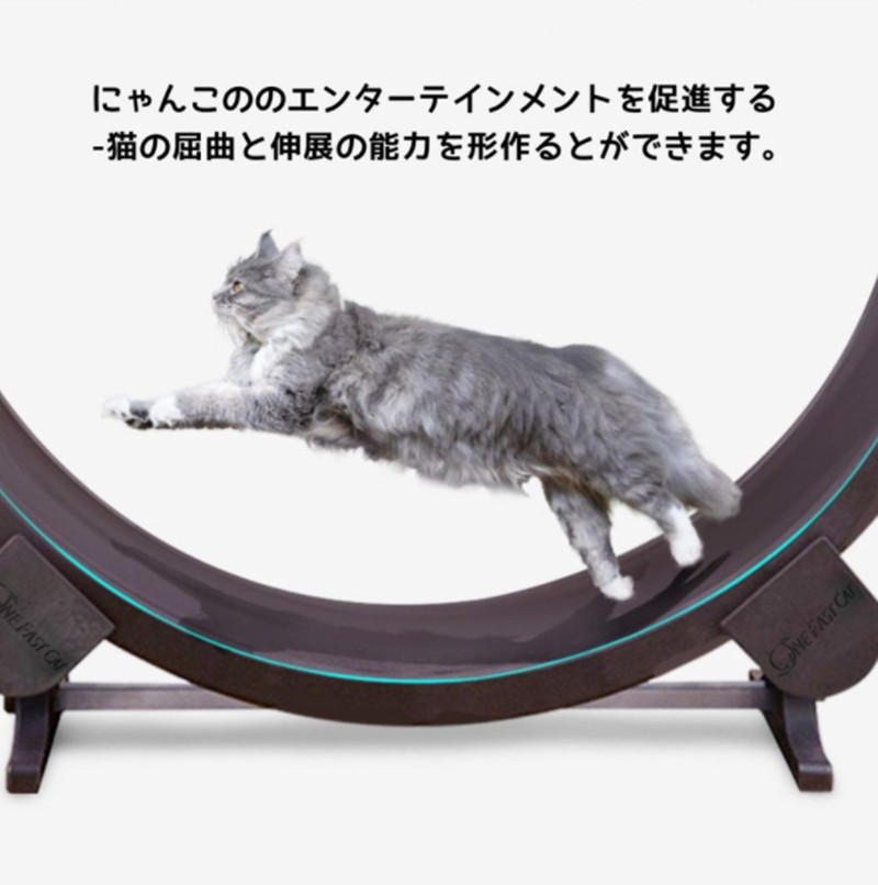 新品未使用☆猫用トレッドミル 運動不足 キャットホイール 猫 ダイエット 楽天市場】キャットホイール 猫 トレッドミル 猫ホイール 低騒音