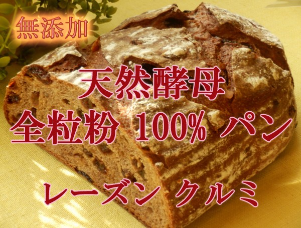 天然酵母 全粒粉 100％ パン レーズンクルミ 特大 :t-06:天然酵母 パンの森 クララ - 通販 - Yahoo!ショッピング