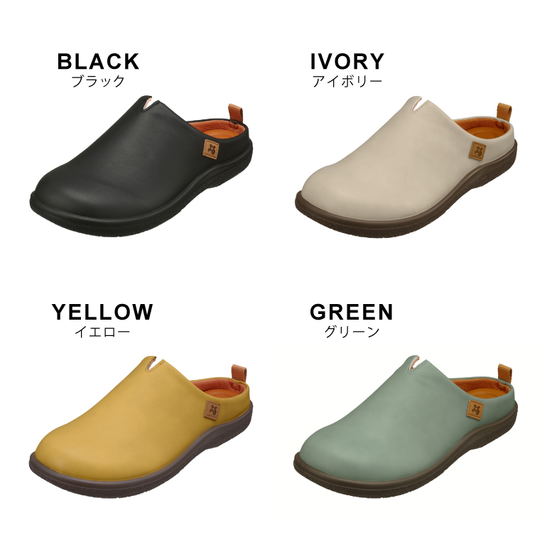 カラーバリエーション