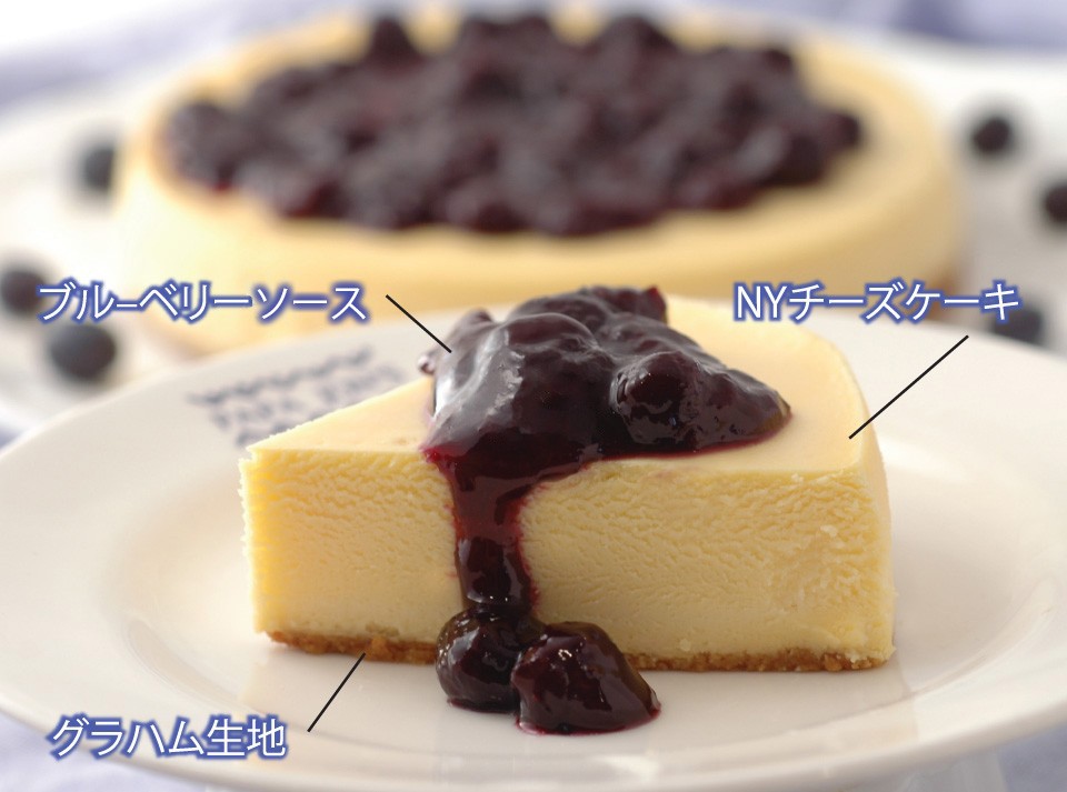 ブルーベリーチーズケーキ 5号 15cm : チーズケーキのパパ