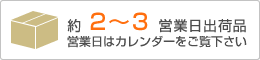 約2〜3営業日出荷