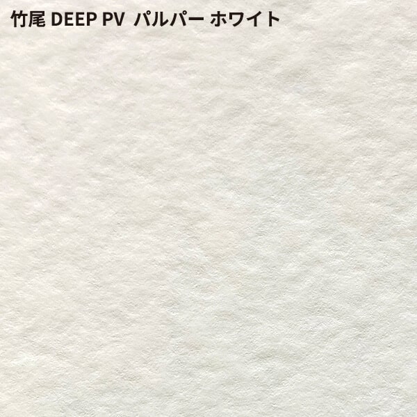 竹尾 DEEP PV パルパー ホワイト 全紙サイズ 980×670mm：100枚 紙 絵画