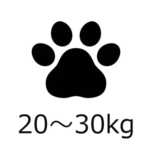 ルークラン 犬用おもちゃ ハッピーセット（アウトレットおもちゃ詰め合わせ） 送料無料 ぬいぐるみ 噛むおもちゃ ストレス発散 小型犬 中型犬 大型犬｜paphilus｜05