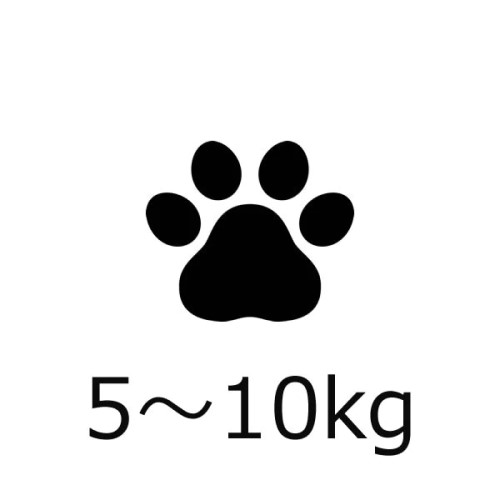 ルークラン 犬用おもちゃ わくわくセット（アウトレットおもちゃ