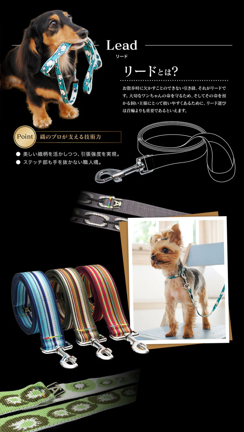 犬用首輪 レマタンコカン L 高級 フランス製 綺麗 かっこいい 大型犬