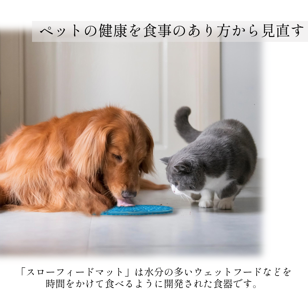 販売済み 猫 マット を 食べる