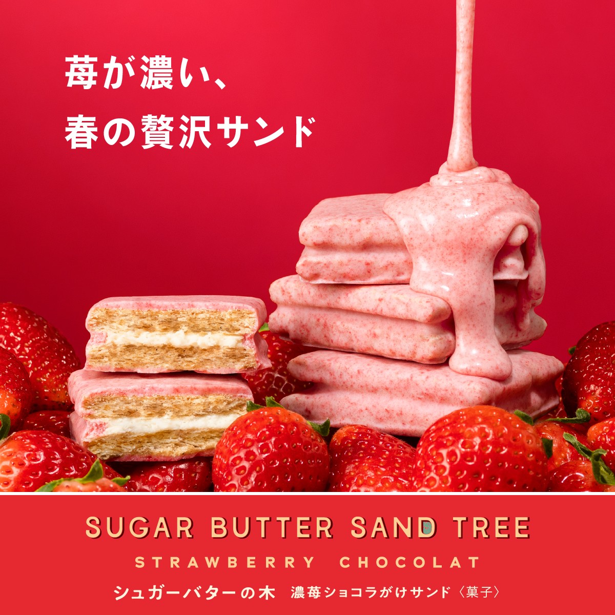 ショコラオーダーページ 97662-6-