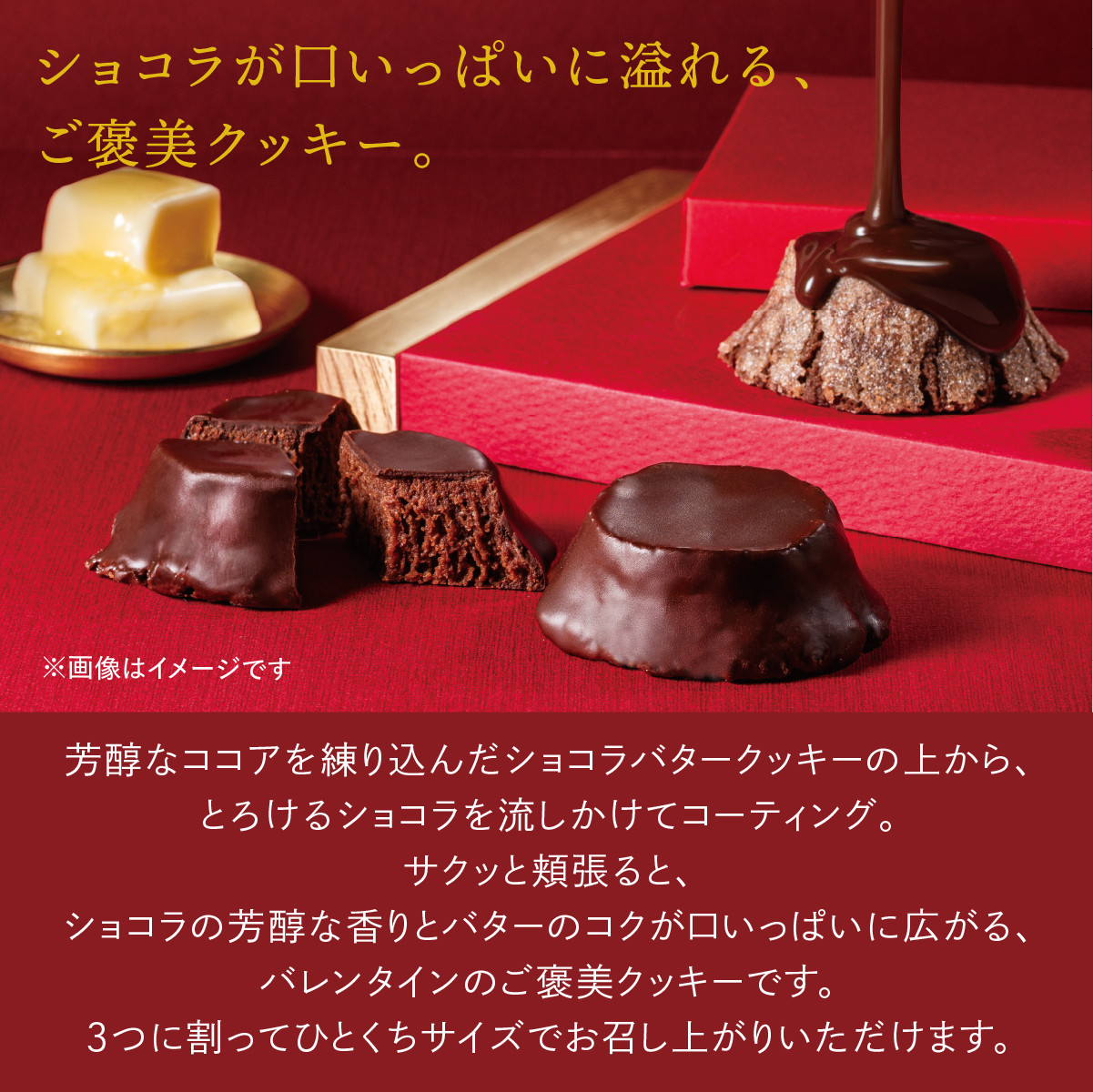 BUTTER STATE's バターステイツクッキー ショコラ＆ショコラ 4個入