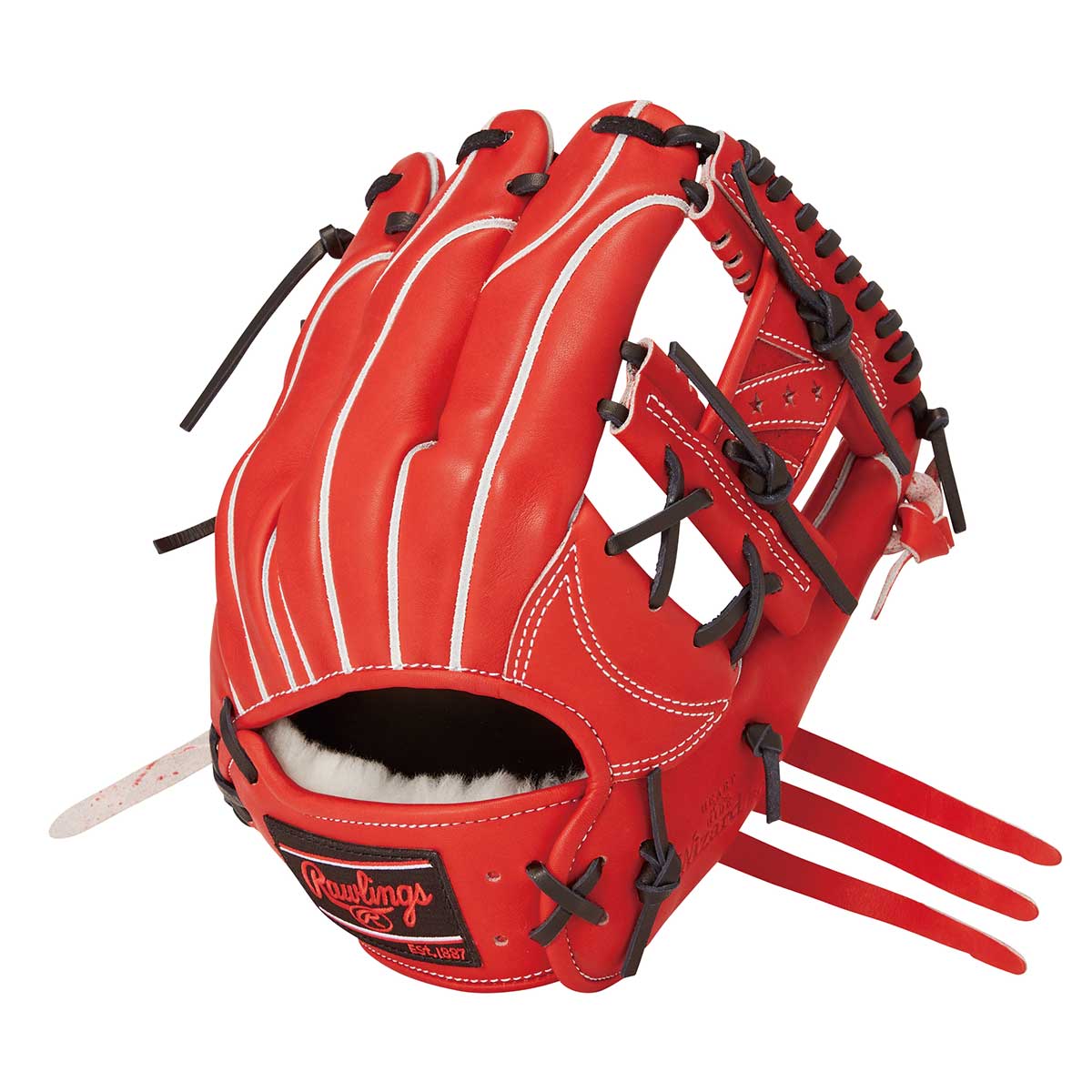 202.Rawlings軟式グラブ 4582694565943.jpg
