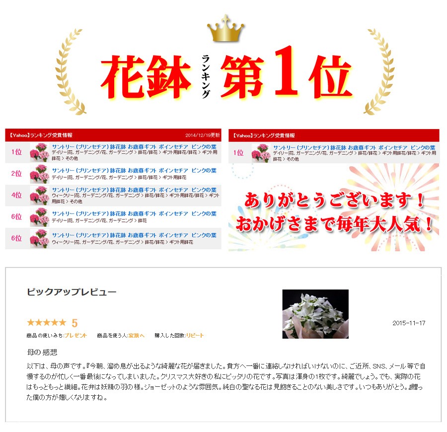 サントリー プリンセチア クリスタルスノー 鉢花鉢 お歳暮ギフト ポインセチア ピンクの葉 純白の葉 Buyee Buyee Japanese Proxy Service Buy From Japan Bot Online