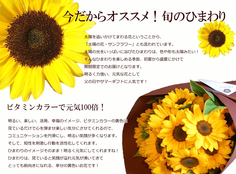 ひまわりの花束40本 誕生日プレゼント 花束 ヒマワリ 向日葵 花