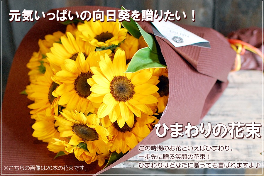 000000121334-01-l.jpg?t=
