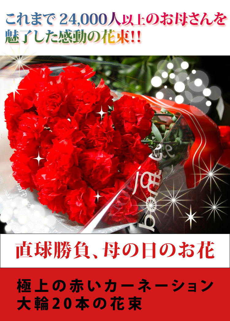 極上の赤いカーネーション20本花束