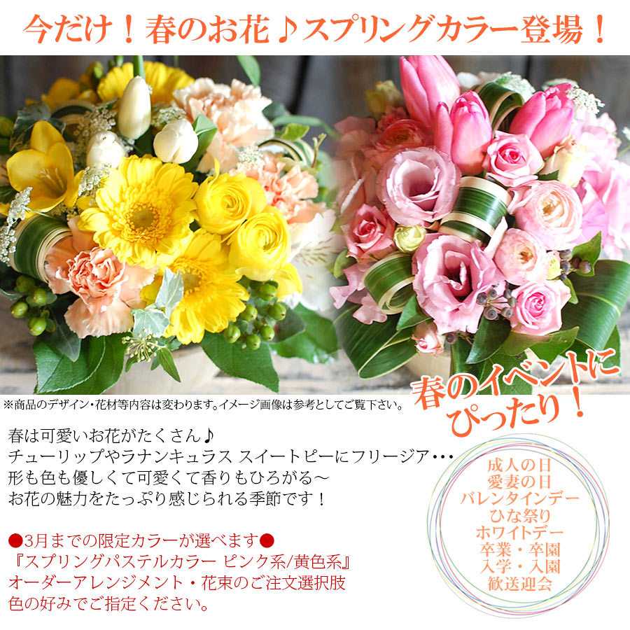 花ギフト専門店 パラボッセ 春のお花 スプリングパステルカラー シーズンアイテム Yahoo ショッピング