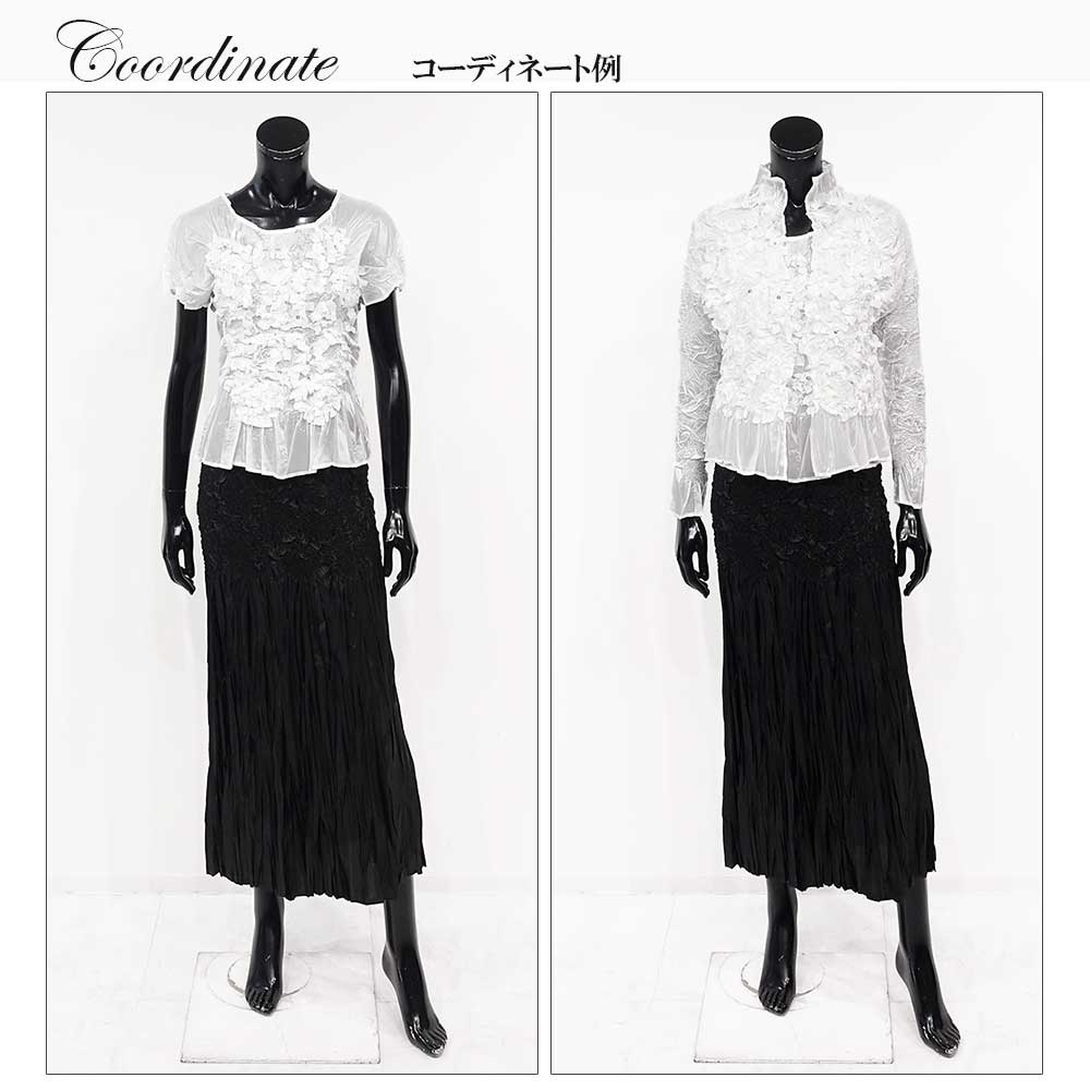 SPECCHIO（スペッチオ） ブラウス フレンチ袖 プリーツ レディース
