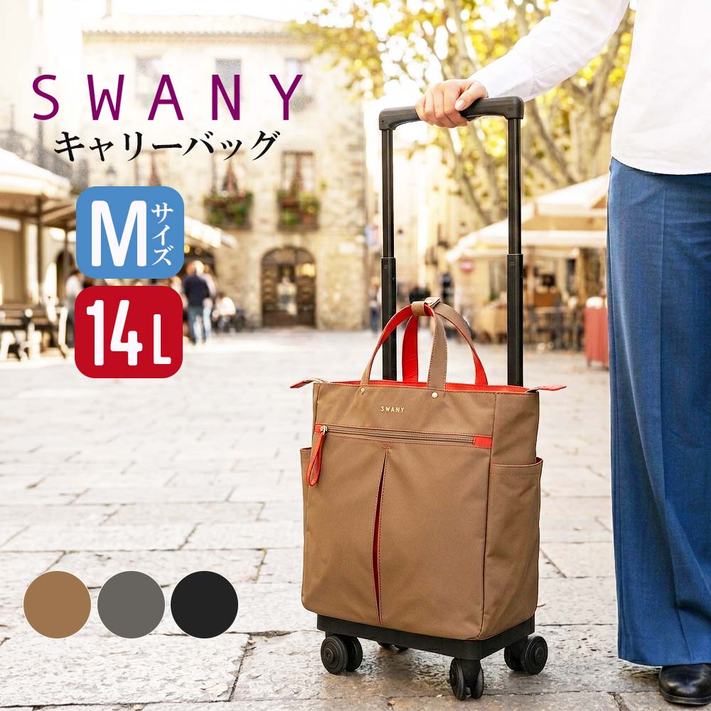 SWANY（スワニー） グイ キャリーバッグ D-685 M18 3色 Mサイズ 14L