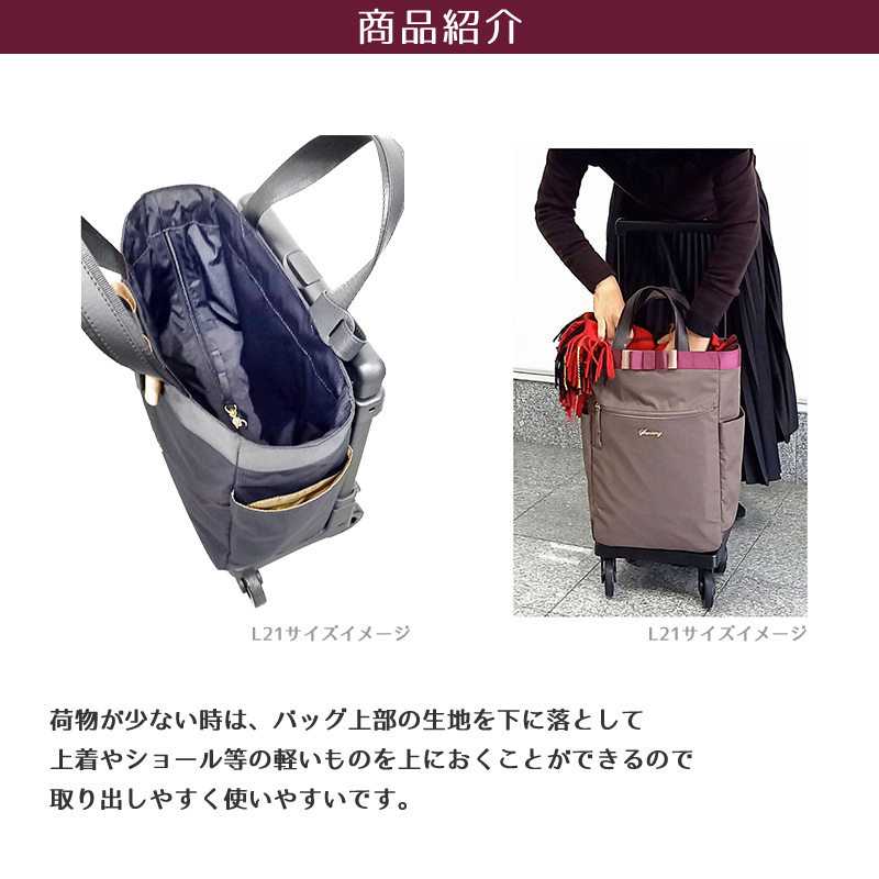 SWANY（スワニー） ルバンド キャリーバッグ TS18サイズ D-675 旅行