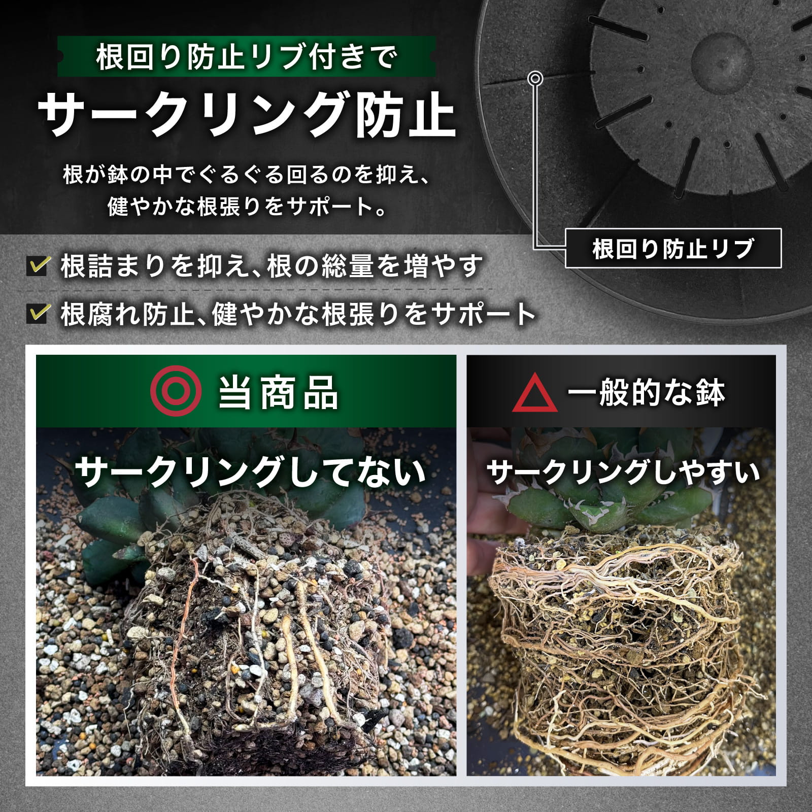 Kaiju Plant 怪獣ポットEco6.5 スリット鉢 6.5号 麦わら再生プラ鉢