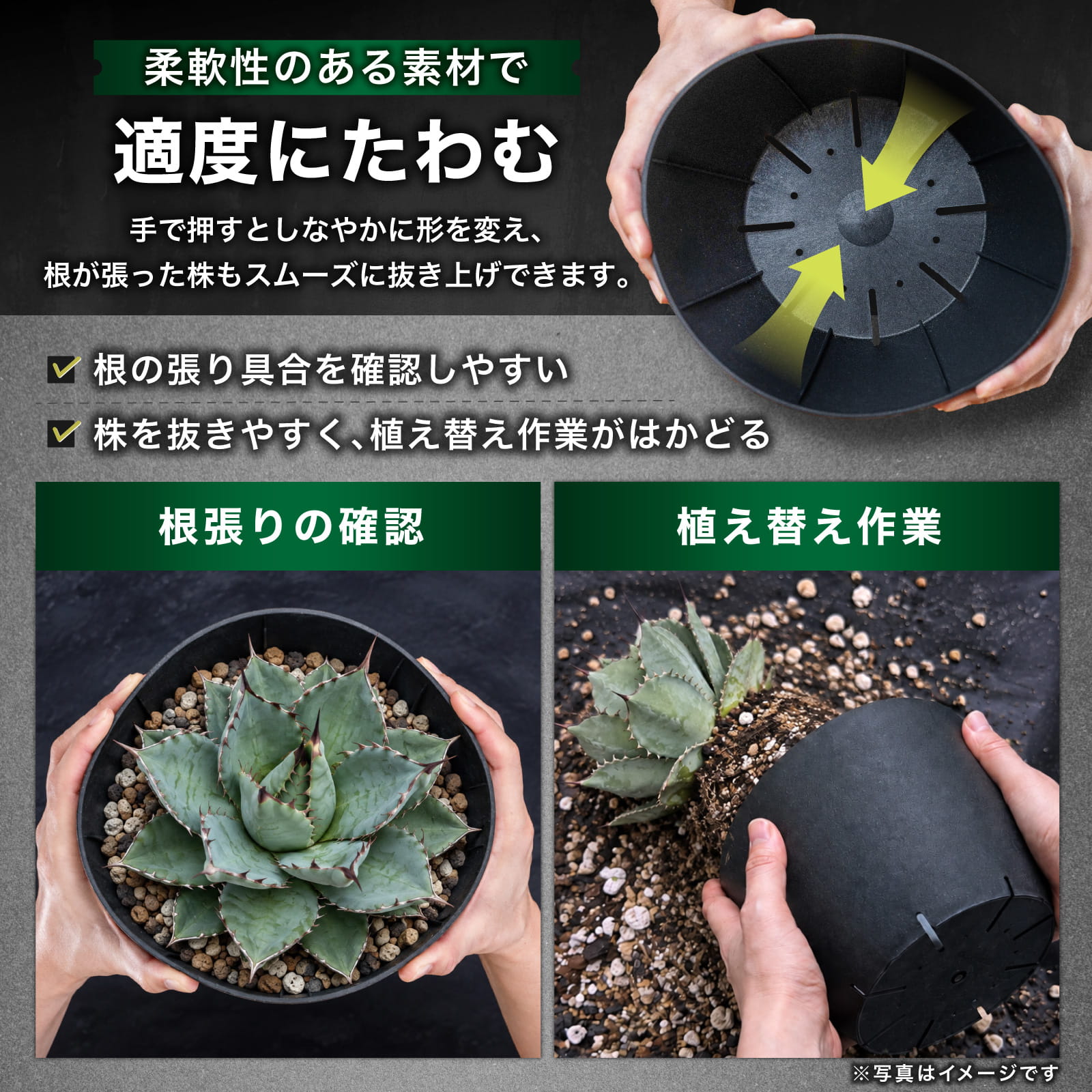 Kaiju Plant 怪獣ポットEco6.5 スリット鉢 6.5号 麦わら再生プラ鉢