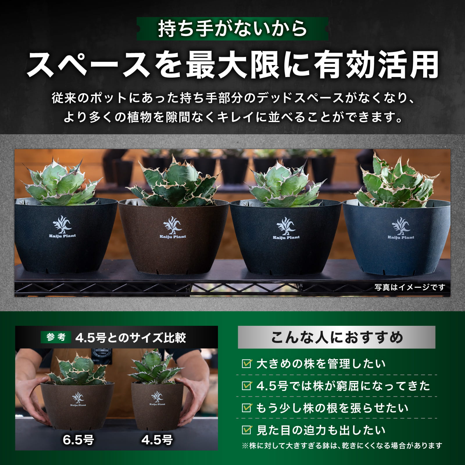 Kaiju Plant 怪獣ポットEco6.5 スリット鉢 6.5号 麦わら再生プラ鉢