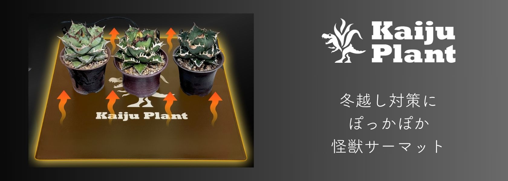 パクマケ - Kaiju Plant｜Yahoo!ショッピング
