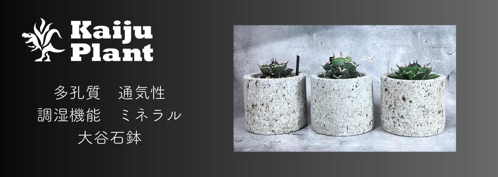 パクマケ - Kaiju Plant｜Yahoo!ショッピング
