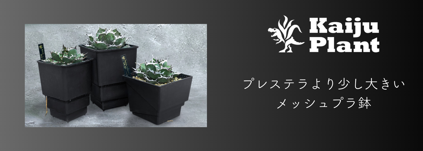 パクマケ - Kaiju Plant｜Yahoo!ショッピング