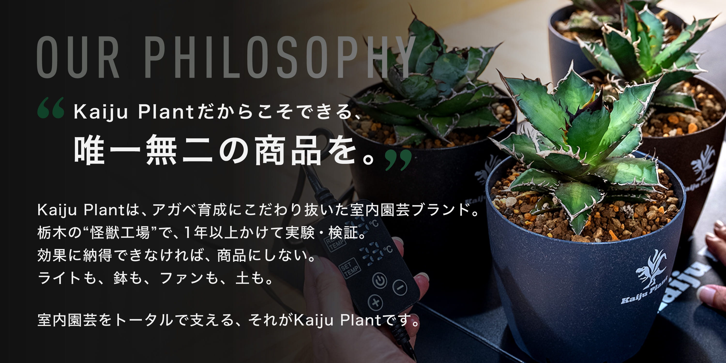 パクマケ - Kaiju Plant｜Yahoo!ショッピング