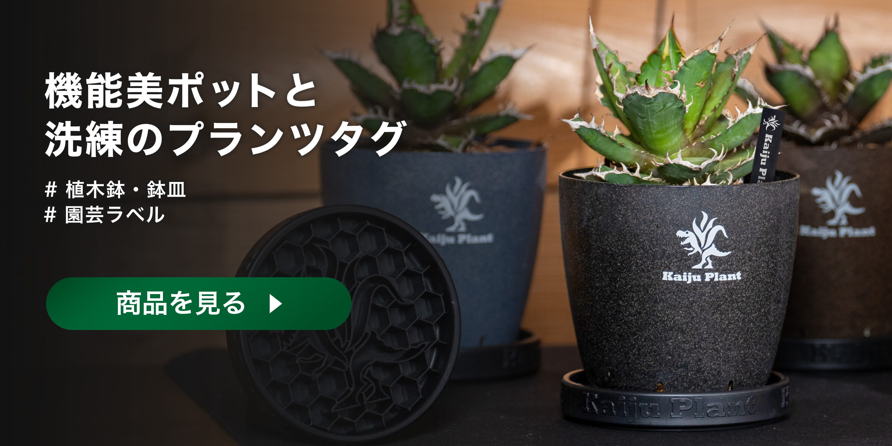 パクマケ - Kaiju Plant｜Yahoo!ショッピング